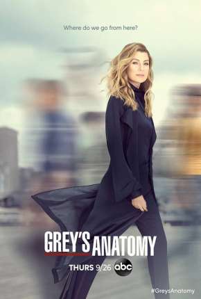 Greys Anatomy - 19ª Temporada Legendada Torrent