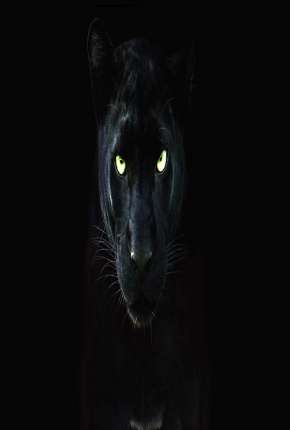 Baixar Pantera Negra - O Reino Selvagem Grátis