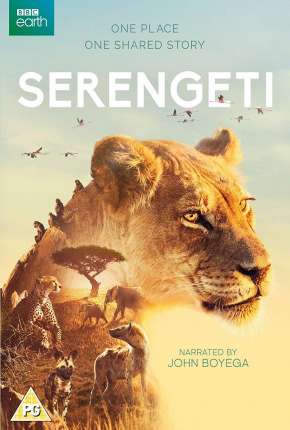 Serengeti - 2ª Temporada Completa Legendada Torrent